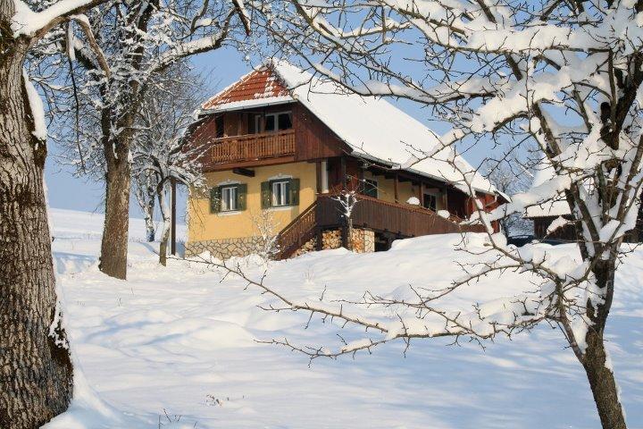 Country House Novosel Duga Resa Exteriér fotografie